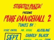 STRICTLY BLAZIN – PURE DANCEHALL 2 – MIXTAPE