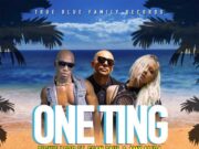 RICHIE LOOP FT. SEAN PAUL & AMY ALIDA – ONE TING – TRUE BLUE FAMILY