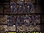 RICHIELOOP & STEIN – BAD BWOY (RAW & RADIO) – SEVEN SIDES OF ME – TIMECODE RECORDS