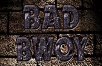 RICHIELOOP & STEIN – BAD BWOY (RAW & RADIO) – SEVEN SIDES OF ME – TIMECODE RECORDS
