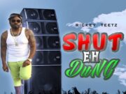 RICKEY TEETZ – SHUT EH DUNG – PLAYAH SYNDICATE RECORDS