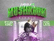 RYGIN KING – TOO LATE – MUSHROOM RIDDIM – ANJU BLAXX