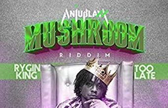 RYGIN KING – TOO LATE – MUSHROOM RIDDIM – ANJU BLAXX