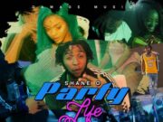 SHANE O – PARTY LIFE – DAMAGE MUSIQ
