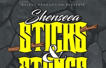 SHENSEEA – STICKS & STONES – BULPUS PRODUCTIONS