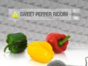 DAVILLE – WUK YOU TONIGHT (RAW & CLEAN) – SWEET PEPPER RIDDIM – HOMEBASE