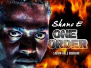 SHANE E – ONE ORDER – DO DI RITE THING ENT