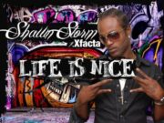 SHAWN STORM FT X-FACTA – LIFE IS NICE – COLLEGE BOIZ PRODUCTIONS