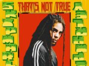 SKIP MARLEY FT DAMIAN JR GONG MARLEY – THATS NOT TRUE – ISLAND RECORDS