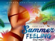 TEEJAY – SUMMER FEELING (DUNG A NEGRIL) – AMERICAN APPLE ENT