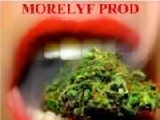TRIPPY $#!T – 4/20 ANTHEM (SMOKE HAZE) – MORELYF PRODUCTION