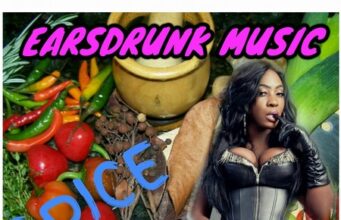 SPICE – TYPE A GIRL – EARSDRUNK MUSIC