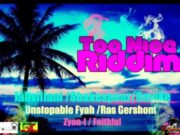 TOO NICE RIDDIM – JUNKYARD MUSIC PRODUCTIONS