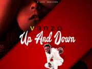 VANZO – UP & DOWN – MARVONI RECORDS _ IKATION RECORDS