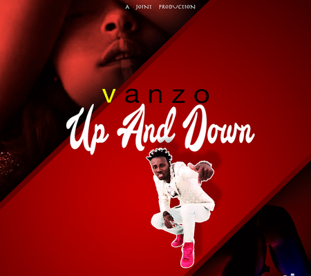 VANZO – UP & DOWN – MARVONI RECORDS _ IKATION RECORDS