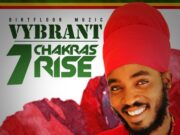 VYBRANT – 7 CHAKRAS RISE – DIRT FLOOR MUZIC