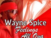 WAYNE SPICE – FEELINGS ALL OVA