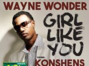 WAYNE WONDER FT KONSHENS – GIRL LIKE YOU – RICKY BLAZE _ DJ NOIRE