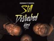 WARD 21 – SPOT THE J – STILL DISTURBED ALBUM – WILETUNES & GERMAICA DIGITAL