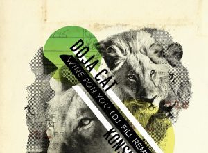 DOJA CAT FT KONSHENS – WINE PON YOU (DJ FILI REMIX)