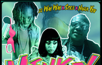 ZJ WAHWA FT. NINJA KID & SPICE – MENKE (REMIX) – FE2 MUSIC
