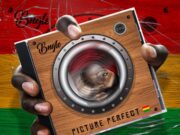 BUGLE FT JADA KINGDOM – PICTURE PERFECT – PICTURE PERFECT ALBUM – AN9TED ENT _ VPAL MUSIC