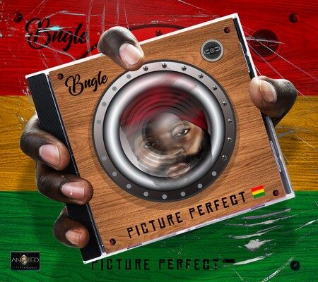 BUGLE FT JADA KINGDOM – PICTURE PERFECT – PICTURE PERFECT ALBUM – AN9TED ENT _ VPAL MUSIC