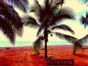 NITEVYBZ – DANCEHALL NITES – MIXTAPE