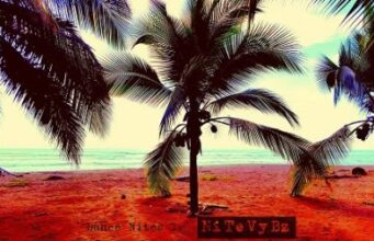 NITEVYBZ – DANCEHALL NITES – MIXTAPE