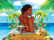 DJ FLIP THA BOSS FT ABINA & BASIQ – TAKE A WHINE – FLIPSIDE RECORDZ