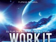 DJ FLIP THA BOSS FT. OOZY & FIERCE – WORK IT FOR ME – FLIPSIDE RECORDZ