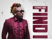 ELEPHANT MAN – FIND IT – DOWNSOUND RECORDS