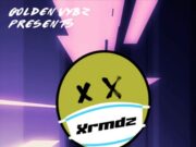 GOLDEN VYBZ – XRMDZ – DANCEHALL MIXTAPE