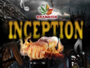 BEENIE MAN – I DON’T CARE – INCEPTION RIDDIM – BRANDISH RECORDS