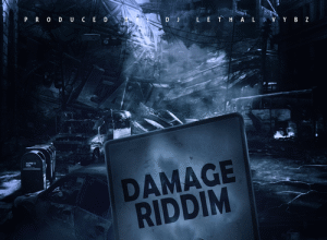 DAMAGE RIDDIM (FULL PROMO) – DJ LETHAL VYBZ