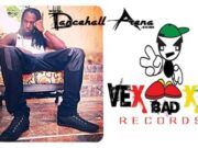 MAVADO – RISE TO THE TOP – VEXXX BAD RECORDS