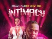TEEJAY X YANIQUE CURVY DIVA – INTIMACY – DAMAGE MUSIQ