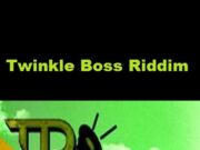 SINGER J FT. BEENIE MAN – TURN ME ON – TWINKLE BOSS RIDDIM – TP RECORDS