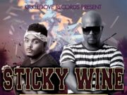 VOICEMAIL – STICKY WINE – KIRKLEDOVE RECORDS